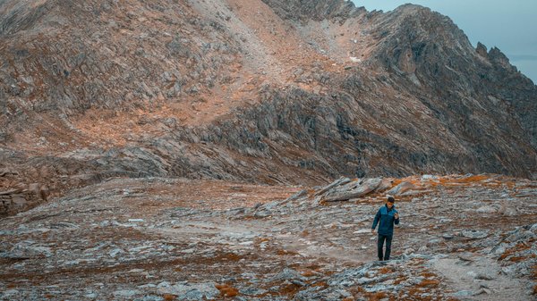 Le rôle du Palais de Versailles dans l'histoire française